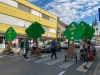 Bäume queren die Straße.